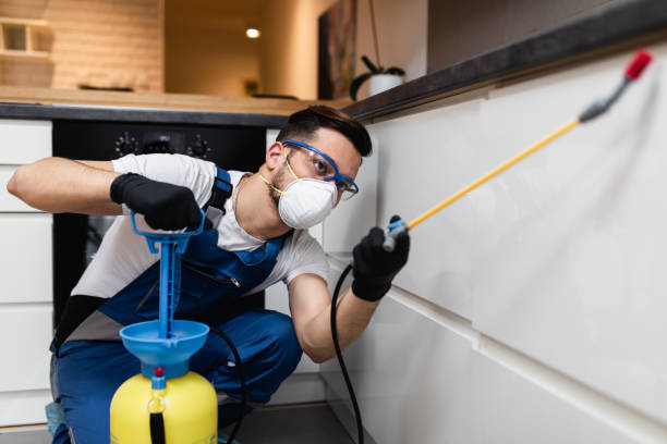 Best Local Pest Control Services  in Mayfield, OH