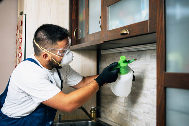 Best Pest Removal Services  in Mayfield, OH