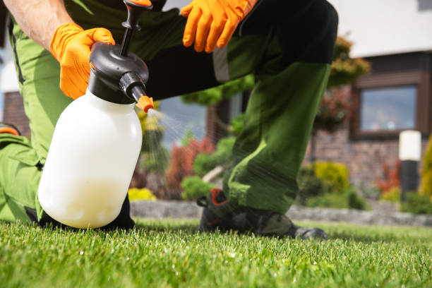 Best Affordable Pest Control Services  in Mayfield, OH