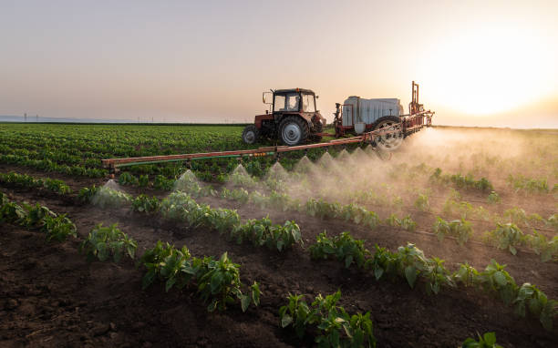Best Mosquito Control Services  in Mayfield, OH