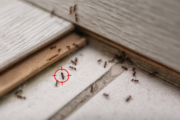 Wildlife Control Services in Mayfield, OH