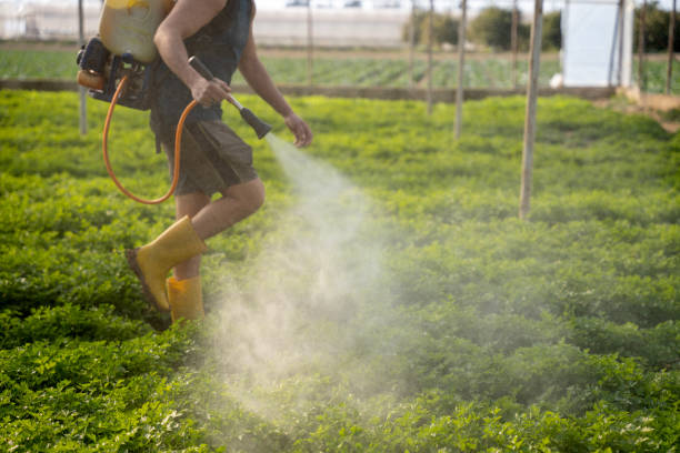 Best Wasp Removal Services  in Mayfield, OH