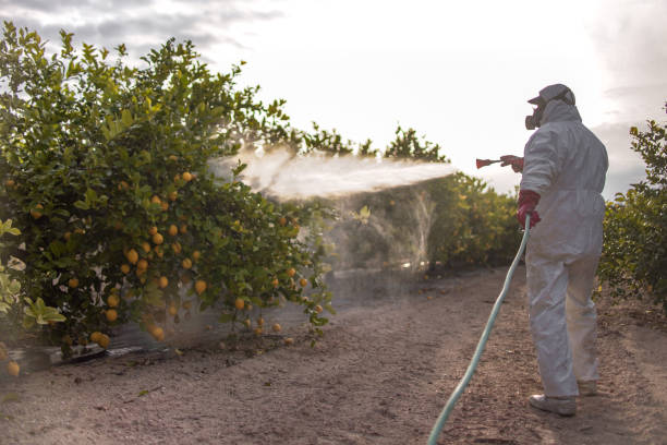 Trusted Mayfield, OH Pest Control Experts