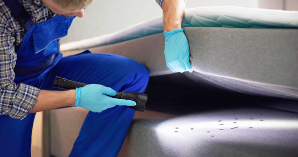 Best Emergency Pest Control  in Mayfield, OH
