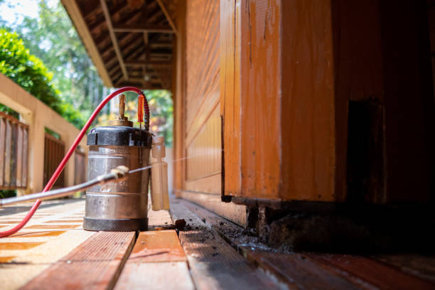 Best Cockroach Control Services  in Mayfield, OH